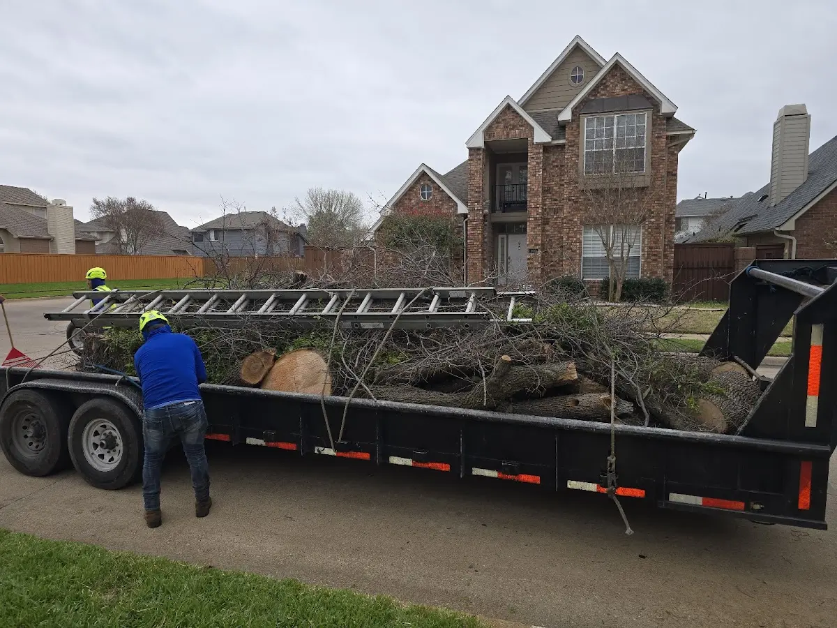 Expert Tree Fertilization with proper safety equipment in Carson